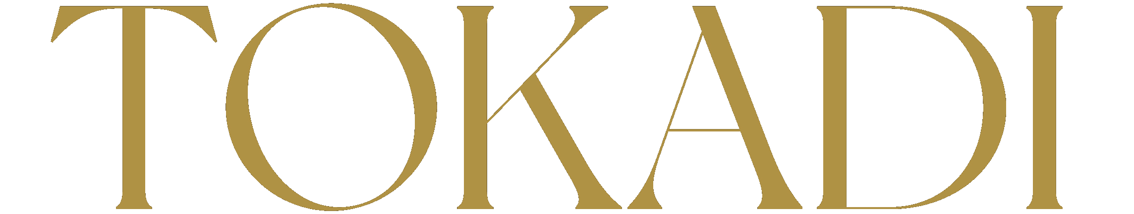 tokadi tolgo horizontal colored transparent bg ©tokadi limited